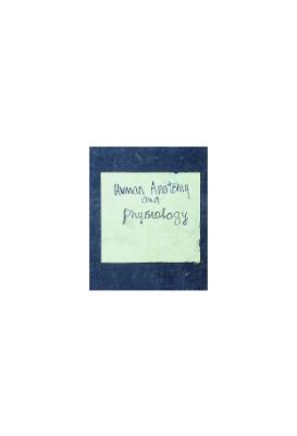 Human Anatomy and Physiology