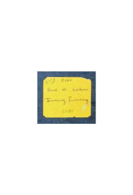 Teaching Swimming