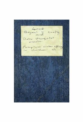 Perceptual Motor Efficiency in Chilldren